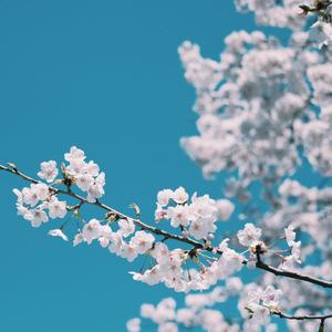 美女露露BBBBBB视频
