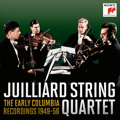 美女露露BBBBBB视频
